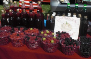 Markttag in Foonyod (MI & SA)